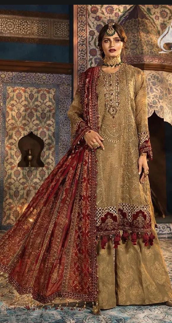 Maria b luxury net dress